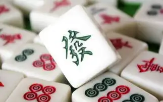 麻将与人品太准了
