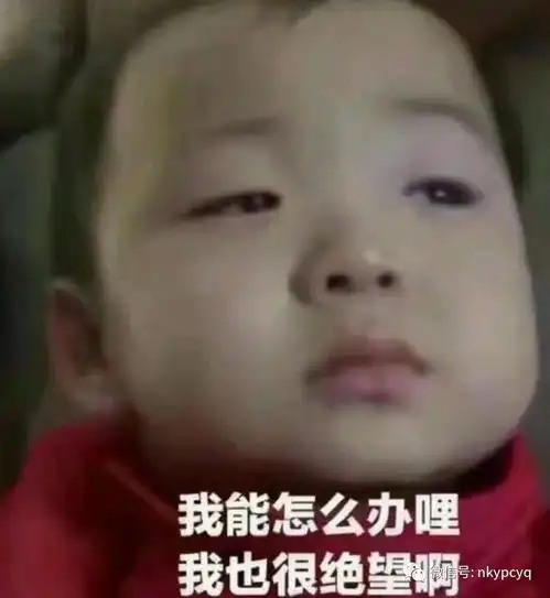 我卖的不是农资,是青春
