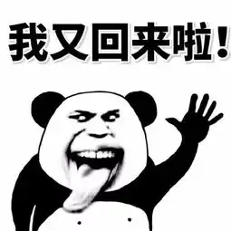 老司机专用表情,要开车了哦
