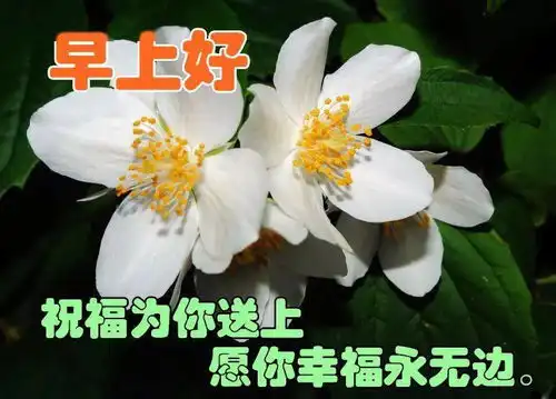 3月3日最漂亮早上好动态表情图片大全,早晨好动图美图大全
