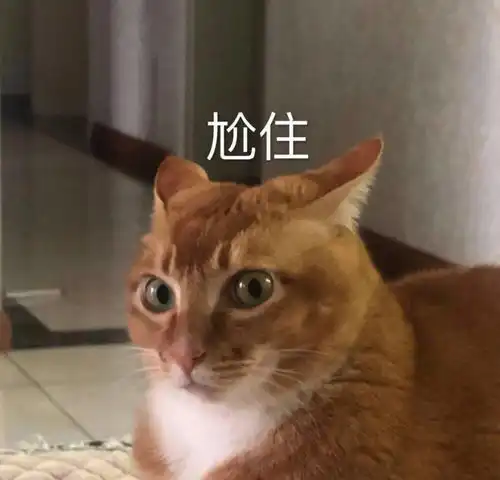沙雕斗图表情包合集
