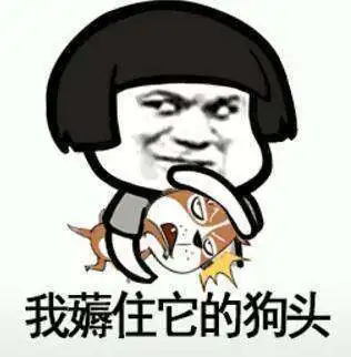 抖音我在那小区遛狗搞笑无水印表情包汇总
