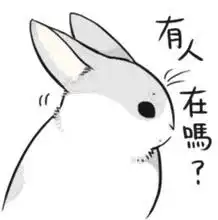 line灰兔子表情包动态
