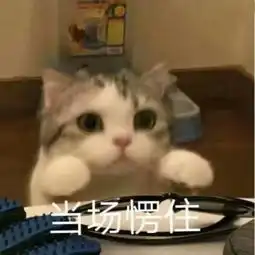 不爱谁也罢,citygirl的装备还能少了不成
