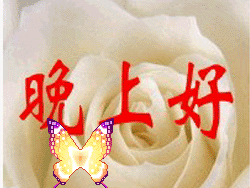 睡前晚安问候好看的动态表情包温馨晚安问候语暖心
