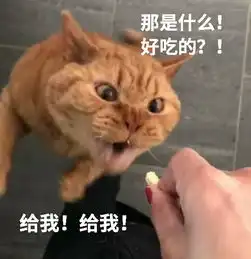 聪明的猫咪用手接零食,而笨笨的猫咪只能靠抢了
