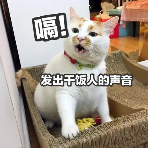 干饭人表情包这就完了
