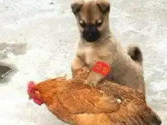 男人看图片搞笑图片大全,搞怪图片,恶搞图片,搞笑动态图片
