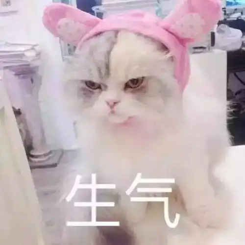 铲屎官自己狂吃小鱼干,旁边的猫咪一条也分不到,气死喵了
