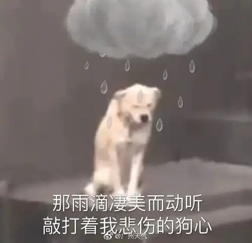 今早,多区发布暴雨预警还有冷空气要来,雨雨雨天气持续......
