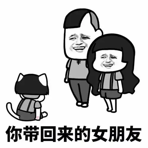论幸福,女人是比不过猫的
