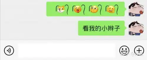 抖音很火的表情加小辫子怎么弄非常简单
