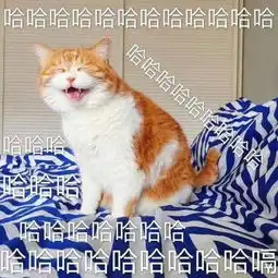 讲了一个笑话的你自己vs听到了笑话的别人
