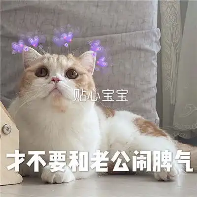 对老公撒娇卖萌的表情包要乖乖听老公话的表情包
