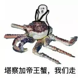 皮皮虾我们走是什么梗表情包送上
