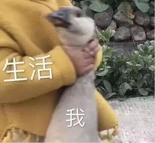一份2018宝妈的年终总结字字戳心你也是这样吗
