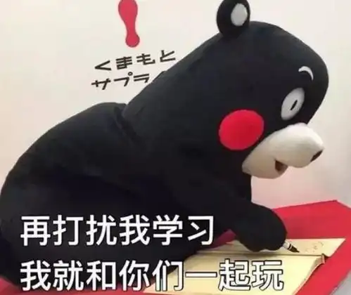 拒绝内卷,接受自己的不完美
