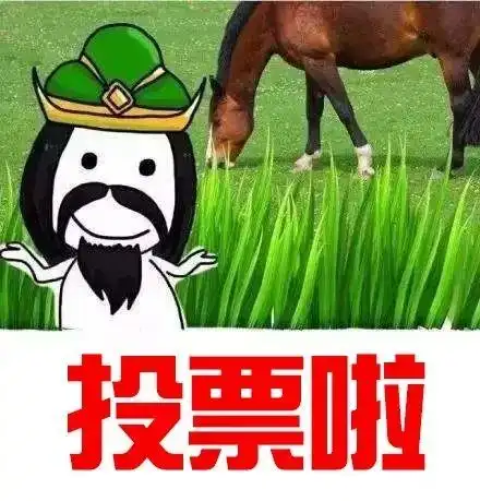 muit王者荣耀复活赛投票啦
