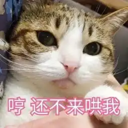 卖萌撒娇表情包我生气了哄不好的那种
