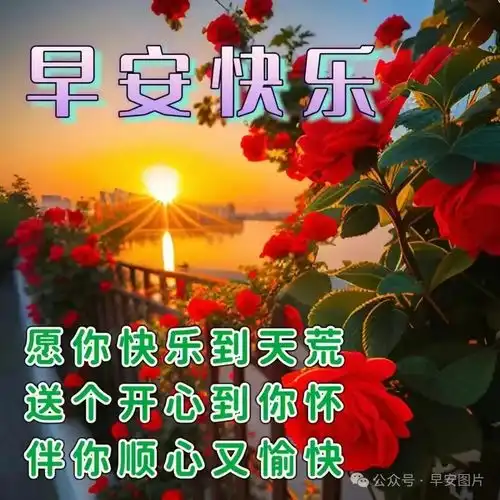 每天早上祝福语表情包表情包