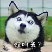 卡通二哈表情包
