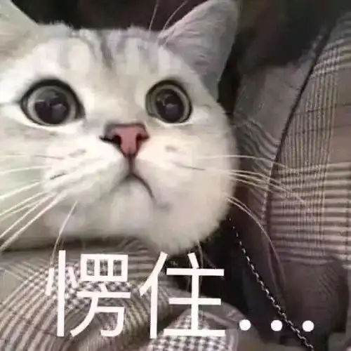 沙雕表情包动物头
