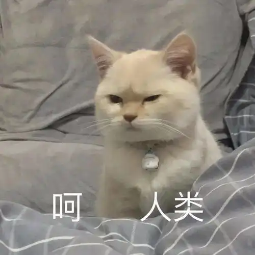 表情包可爱沙雕表情包
