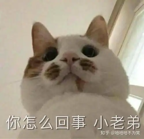 总是喜欢反复浏览和女朋友的聊天记录是种什么心理正常么
