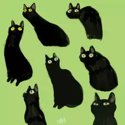 第一次听马勒音乐的黑猫,贡献了一波沙雕表情包

