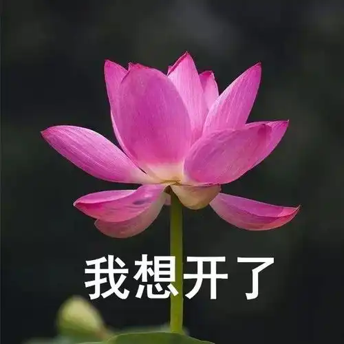 太真实了儿童节大型翻车现场,哈哈哈哈笑出驴叫
