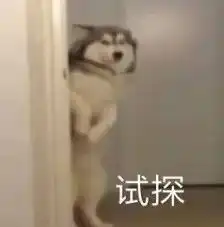 你身边都有哪些奇葩或沙雕的朋友
