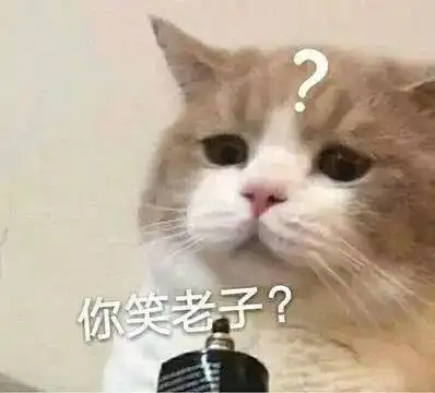 猫咪表情包接下来你是不是要凶我了
