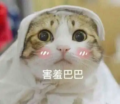 萌新看过来,晚会那些不能说的秘密都在这里
