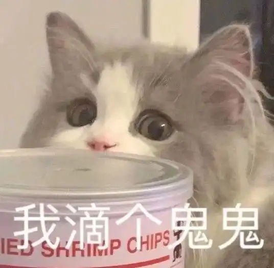 艾丽酱的沙雕日常
