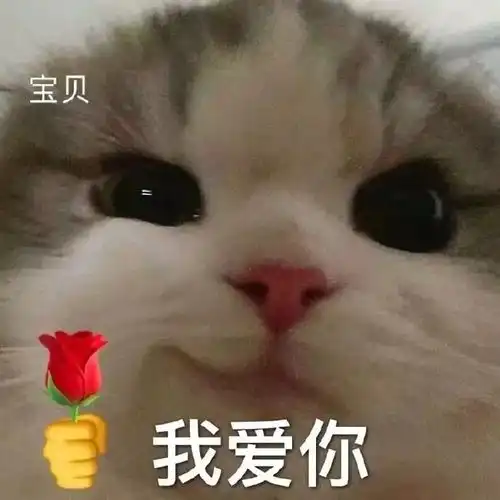 139张看了想笑的表情包

