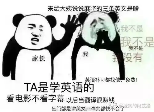 一张表情包形容你的专业太到位了
