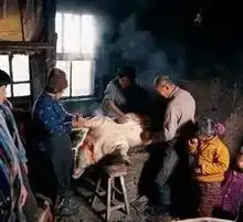 老照片丨烟袋土炕泥土房30年前的东北农村,一直是记忆里的模样
