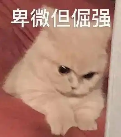 表情包丨卑微但倔强
