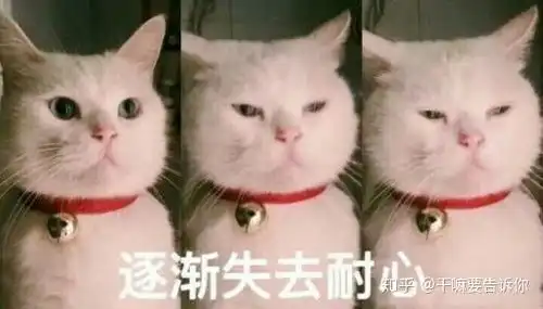 关于学习意大利语的一点点感受与经验
