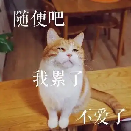 金华又要下雪了最低0接下来都是冷冷冷雨雨雨天气
