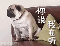 狗年微信表情包就在这里了
