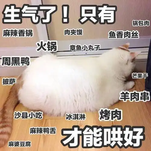 狗子上了幼儿园花样就更多了
