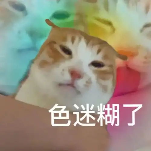 炫彩色色小猫咪表情包
