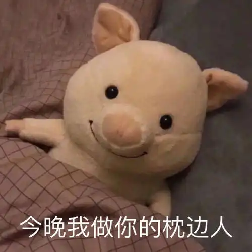 搞笑沙雕表情包想和我做姐妹吗,你可别说话,今晚做我枕边人
