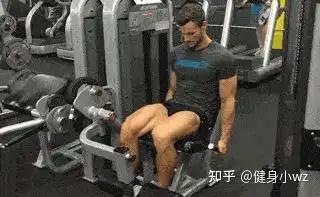 最全健身器材使用方法及锻炼肌群,快收藏
