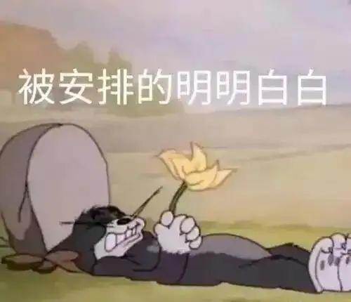 深度为何爱泼斯坦文件公布后国内媒体大v集体失声

