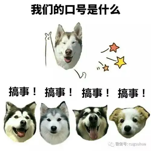 小花派福利同学,请签收一下你的入学通知书
