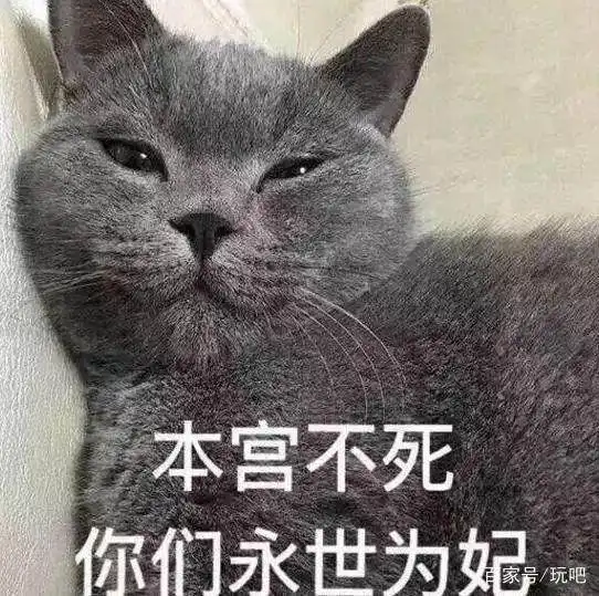 我有10000个怼人表情包,送你要不要
