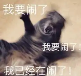 第一次学开车是种什么体验我tm笑的找不到方向盘了
