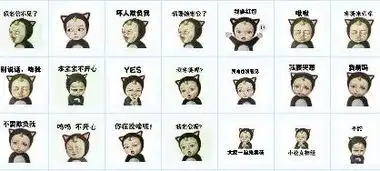 这叫啥表情包
